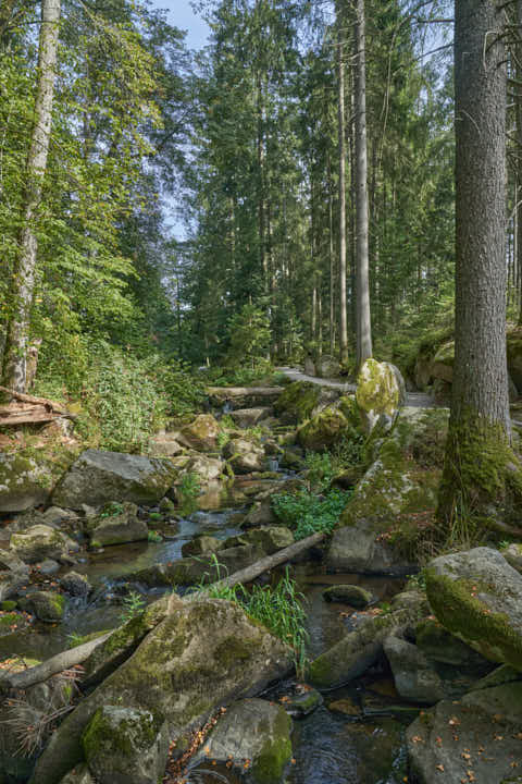 Gemeinde Waldkirchen Landkreis Freyung-Grafenau Saußbachklamm (Dirschl Johann) Deutschland FRG